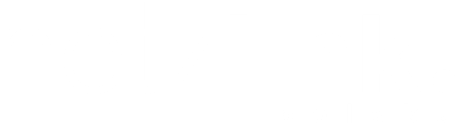 Netzlink Polska Logo_WHITE Netzlink Polska Logo_WHITE